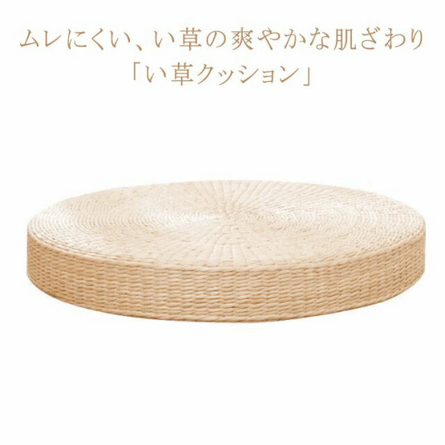 �����ȥ��å���� ���𥯥å���� �¥���� ľ��40cm �⤵10cm�ߺ� ��ȿȯ �ե������å���� ����ƥꥢ ��ȿȯ �¼� �� �ʥ����...