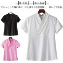 半襦袢 うそつき 襦袢 袷用 女物 洗える tシャツ 半襦袢 白 半衿付き 肌襦袢 筒袖 共袖 衣紋なし 礼装 おしゃれ 大人 レディース 女性 通年用 和装 下着 肌着 夏着物 浴衣 インナー 半袖 送料無料