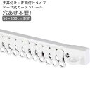 【50cm 6本セット】 カーテンレール カット自在 正面付け 天付け 天井付け 長さ調整 短い 調節可能 1m 2m 3m 粘着 ランナー 二段ベッド用 正面...
