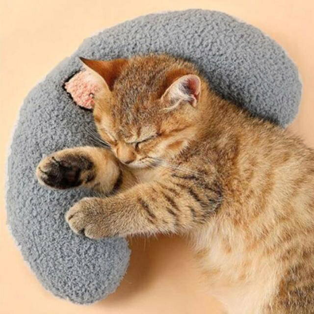DayForMe 楽天市場店のピロー クッション 柔らかい 犬 猫 枕 抱き枕 2個セット 枕 あごのせ U字型枕 ねこ ネコ 2個セット いぬ まくら 犬の枕 猫の枕 あごのせ猫枕 添寝枕 ドッグ 犬用まくら 月の形 ペット枕 もちもち 可愛い 小型犬 ペット用 ソフト 猫用 ペット用品 ギフト｜アングル3