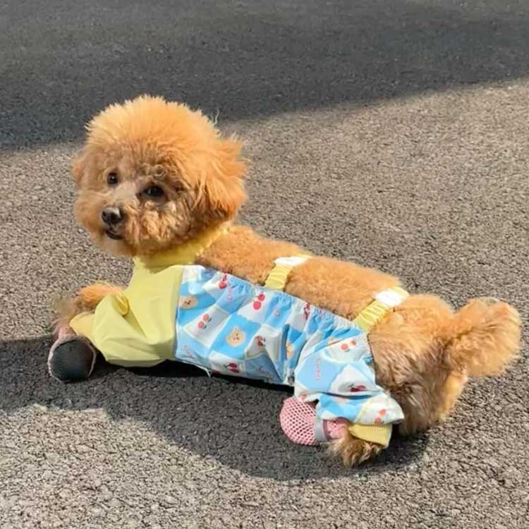 ドッグウェア 犬用レッグカバー 犬 防水 散歩 お出かけ 脱げない ペット用品 レイ...
