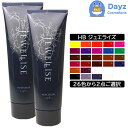 ナプラ HB ジュエライズ ヘアカラー 190g 2点セット | 1剤式ヘアマニキュア / 酸性カラー / 白髪対応 / 全26色 【ABS】