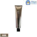 フィヨーレ BLカラー ラディーチェ 【 6BB|ベージュブラウン 】 120g 6点セット | 第一剤 / 医薬部外品 | ヘアカラー カラーリング剤 【TPi】