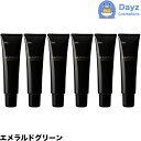 ホーユー グラマージュ ヘアマニキュア 55 エメラルドグリーン 150g 6点セット | ヘアマニキュア 染毛 カラー カラーマニキュア 【HMN】