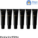 ホーユー グラマージュ ヘアマニキュア 62 タンジェリンブラウン 150g 6点セット | ヘアマニキュア 染毛 カラー カラーマニキュア 【HMN】
