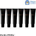 ホーユー グラマージュ ヘアマニキュア 63 マンゴーブラウン 150g 6点セット | ヘアマニキュア 染毛 カラー カラーマニキュア 【HMN】
