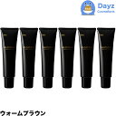 ホーユー グラマージュ ヘアマニキュア 73 ウォームブラウン 150g 6点セット | ヘアマニキュア 染毛 カラー カラーマニキュア 【HMN】