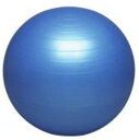 メーカー取り寄せ、受注後在庫の有無ご連絡いたします。バランスボール55cm(ブルー)(ポンプつき)品番:DB55P【koushin0201】sale