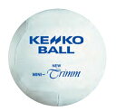 ミカサ（MIKASA）（メンズ、レディース、キッズ）ソフトバレーボール 78cm 公認球 MSN78-Y 自主練