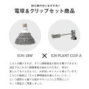 dbarrel:10000008のサンプル画像2