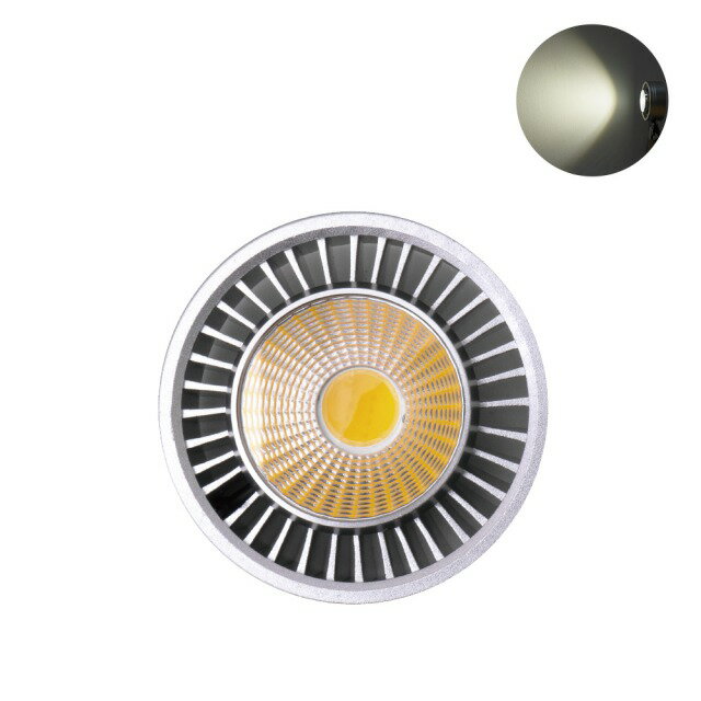 【ボトルアクアリウム】