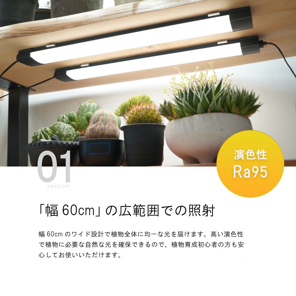 BARREL【SHELF GROW SLIM】...の紹介画像2