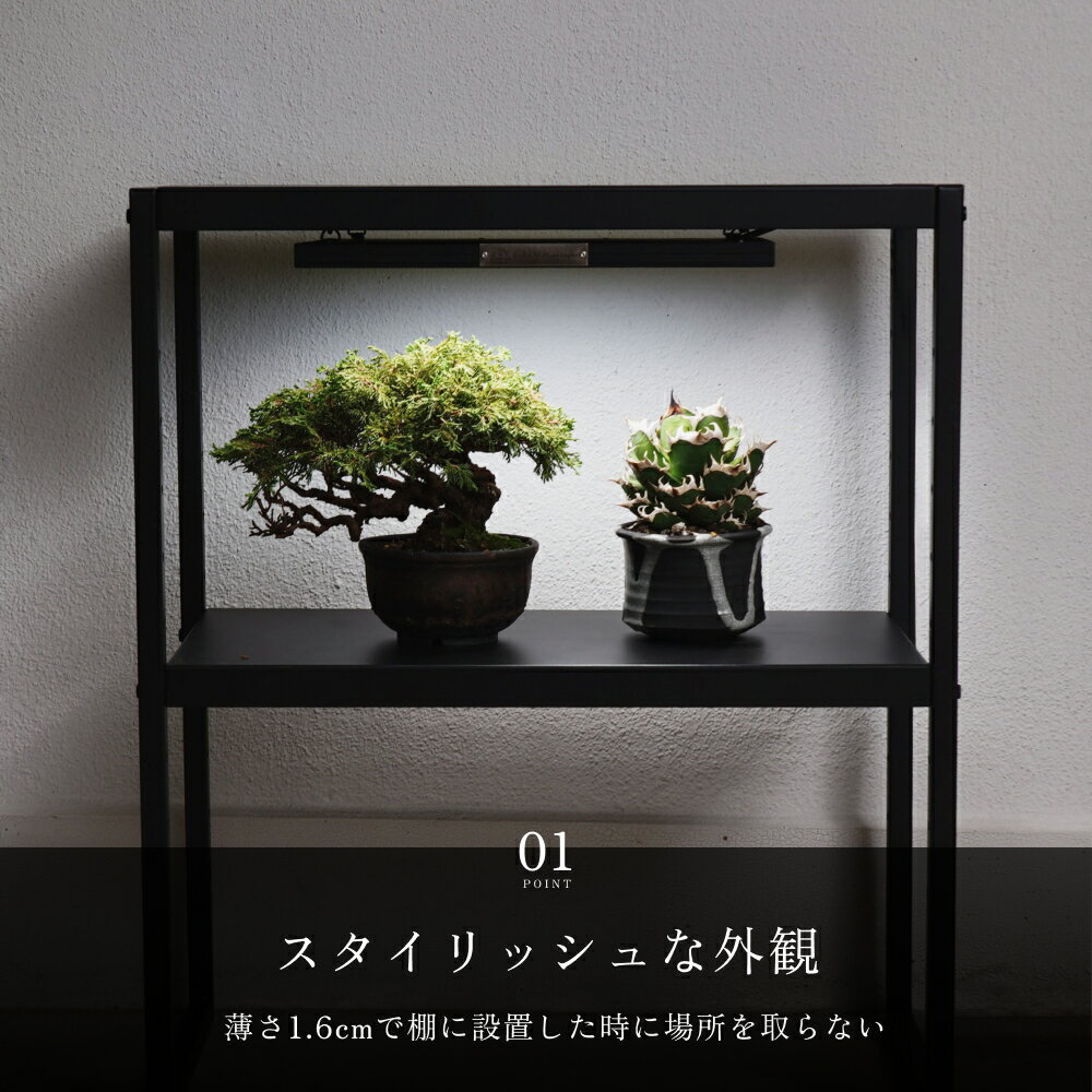 ��3ǯ�ݾڡ�BARREL ��ʪ���� LED �ѥͥ�饤�ȡ�ROKI��350 100W(����) �ۥѥͥ�饤�� Ķ��鿧 ��ʪ�����Ѿ��� ba-100w-fl