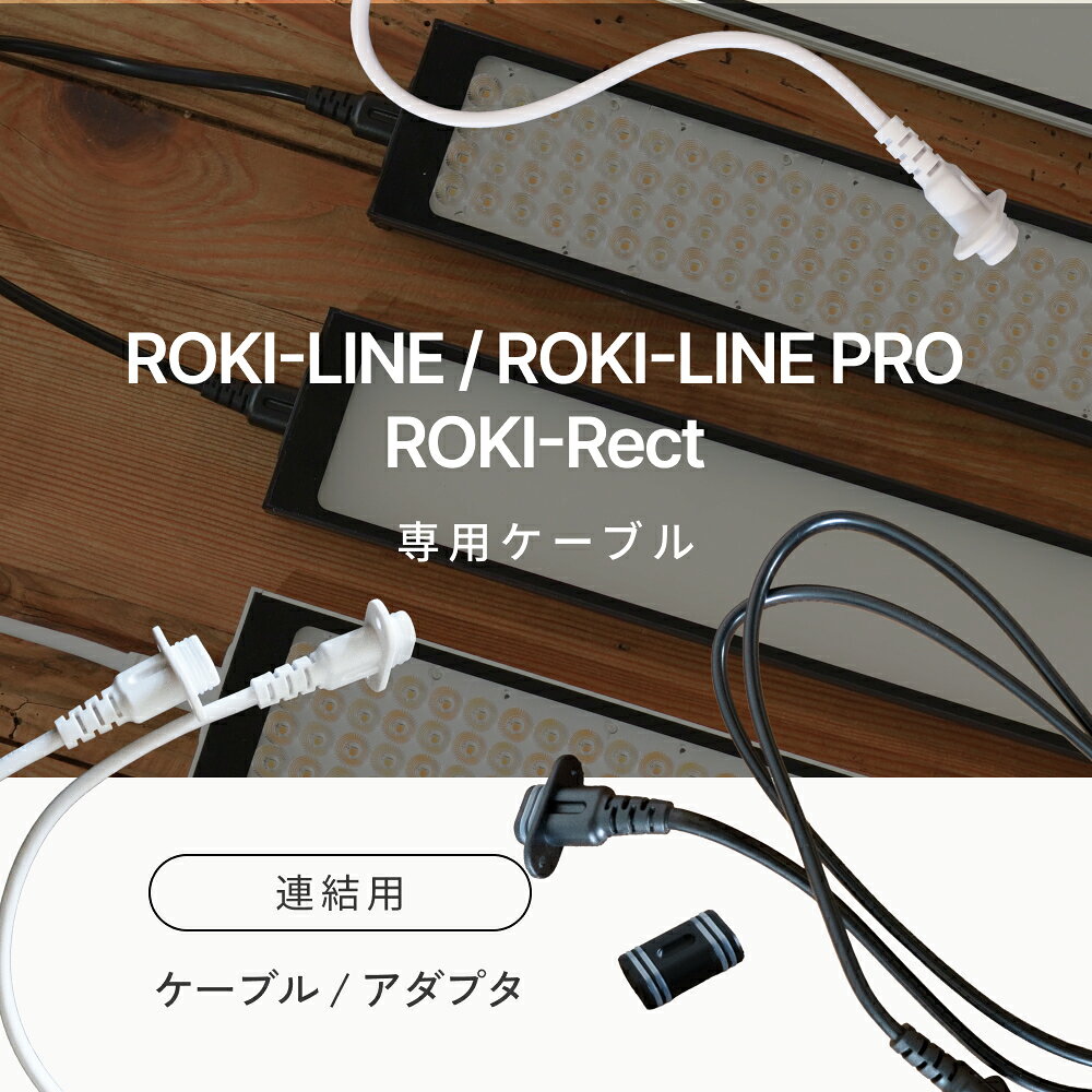 【専用連結ケーブル/プラグ】ROKI-LINE / ROKI-LINE PRO / ROKI-Rect