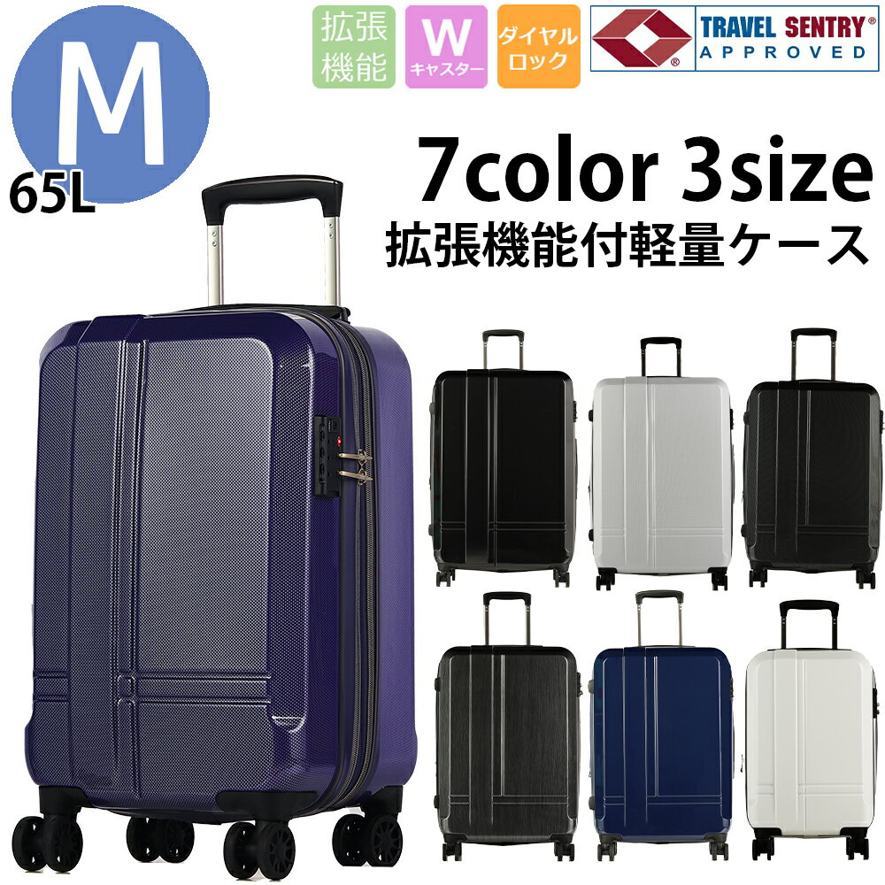 Expandable Suitcase, Medium Size, Free Shipping, Double Casters, TSA Lock [65L Suitcase, Carry-on, Simple, Business, Trip, 3-7 Nights, Lightweight, High Strength, Expandable]