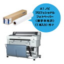 EPSON SC-T5DRC9 唻CNWFbgv^[