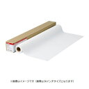 送料無料(沖縄、離島を除く) キヤノン 9124A005 【用紙★大判プリンタ用フィルム】