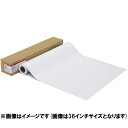 送料無料(沖縄、離島を除く) キヤノン LFM-GPPT_24_300 【用紙★大判プリンタ用写真用紙】