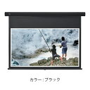 キクチ科学研究所 SS-110HDCW/K 手動巻き上げスクリーン 100型 フルハイビジョンサイズ(16:9) 黒色 Stylist SR ※日時指定不可