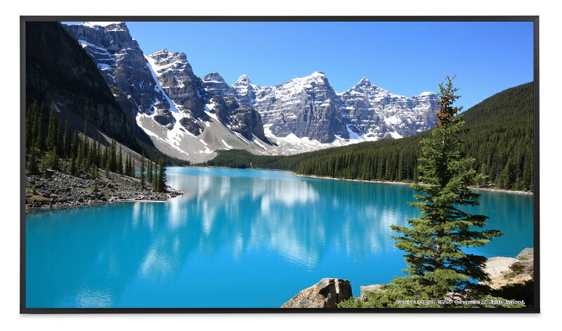 SHARP　PN-ME982　98V型Android内蔵インフォメーションディスプレイ※受注生産