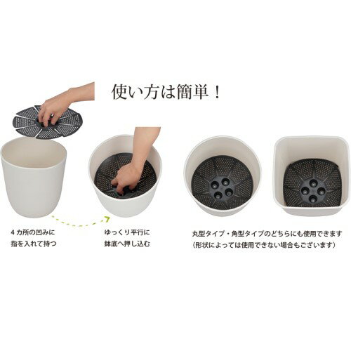 �ԥ��äȥ��Υ� �֥�å� 33�� 1���� ���åץ륦������