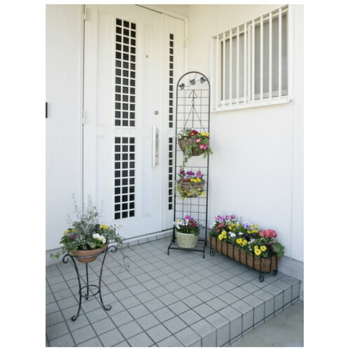 �ϥ󥮥󥰥�����ɥ���ƥ������꡼�� NPM-HS1 (��) �������硼