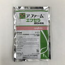 アファームエクセラ顆粒水和剤 500g シンジェンタ