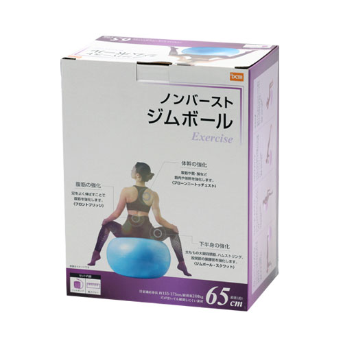 ノンバーストジムボール L-FN64 65cm DCM