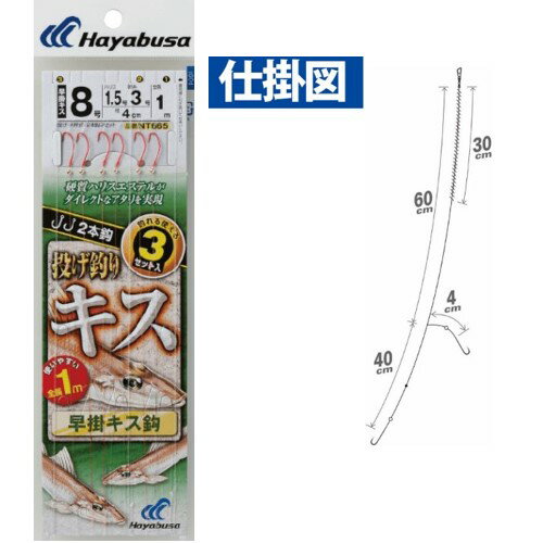 ��ݥ��� 2�ܳ� NT665 10�� �ϥ�֥�