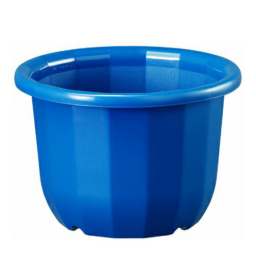 ����ȭ 1L �֥롼 �֥롼 6��ȭ ��ޥ�