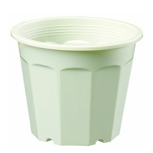 DCM饤㤨ֲȭ 1.4L ꡼ ꡼ 5.5ȭ ޥȡפβǤʤ250ߤˤʤޤ