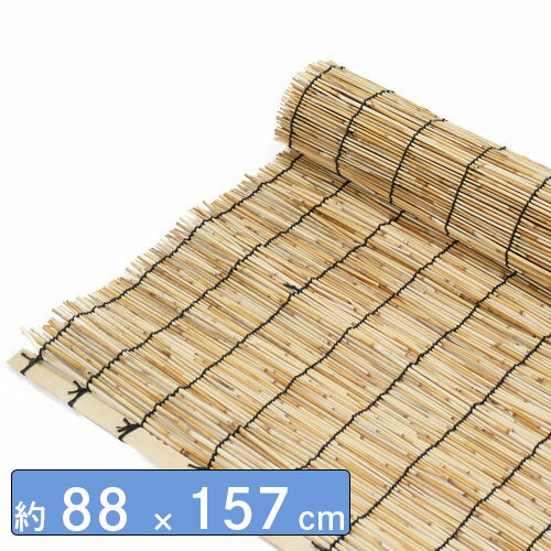 ŷ�Ť����� ��88��157cm DCM