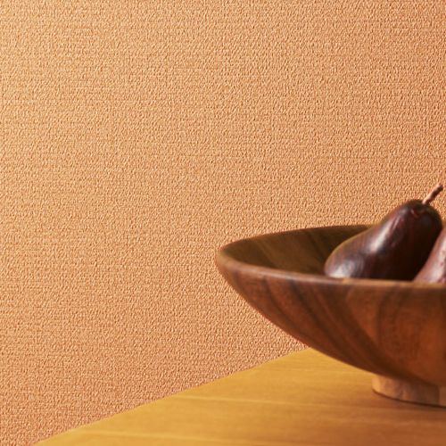 ���ڤ����� ���ɻ� BB9170 1m������ ���󥳡���