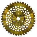 超剛W刃チップソー 255mm×36P DCM
