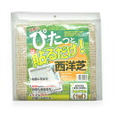 自然応用 ぴたっと貼るだけ西洋芝1mX1m 自然応用科学