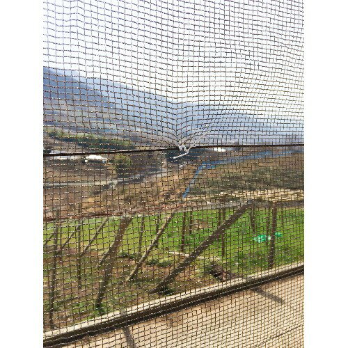 �ݸ�ͥå� ��4mm�� �֥饦�� 2m��2m ������