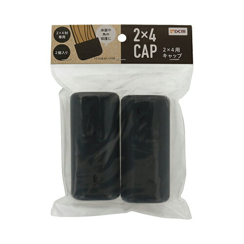 2X4�ѥ���å� �� DCM