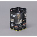 LEDフィラメント電球クリア 電球色40形相当(485lm) LDA4L-G-FC アイリスオーヤマ