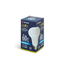 LED電球 人感センサー付 LDR9N-H-SE25 昼白色 60形相当(810lm) アイリスオーヤマ