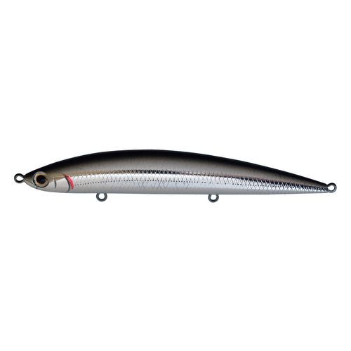 アスリート 12SSP カタクチ Athlite