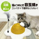 猫のつめとぎ目玉焼き SEAWINGS