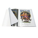 ポスター保存の決定版 B2クリアファイル(クリア) ML-B2P10CL HIDISC