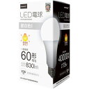 LEDd(ʓd60`) F HDLED60W5000K HIDISC