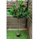 フェイクグリーン ウンベラータ 130cm FG-UNBL130 グリーン ウンベラータ YAMAZEN フェイクグリーン観葉植物造花リアルインテリア新生活ギフ...