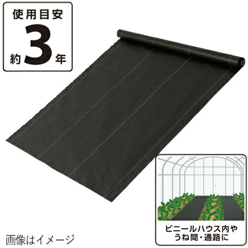 雑草ガード 2mx50m DCM
