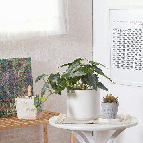 フェイクグリーン アロカシア 41138 セラミックポット 不二貿易 フェイクグリーン 観葉植物 造花インテ..