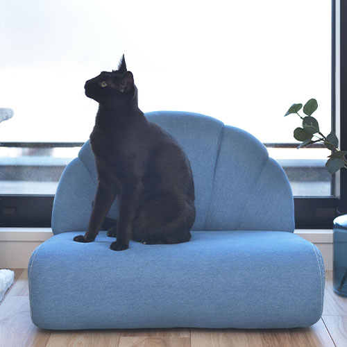 �ڥå� ���ե� PET-65 ��ë(�����ޤ�)