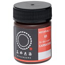 みやこ染 コールダイホットECO 20ml カーネーション 105249 カーネーション 桂屋ファイングッズ