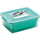 ざるコン角5.5L 317×248×114 53450 タケヤ化学