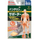 バンテリンコーワサポーター 足くび専用大きめ シルバーグレー 23079 興和